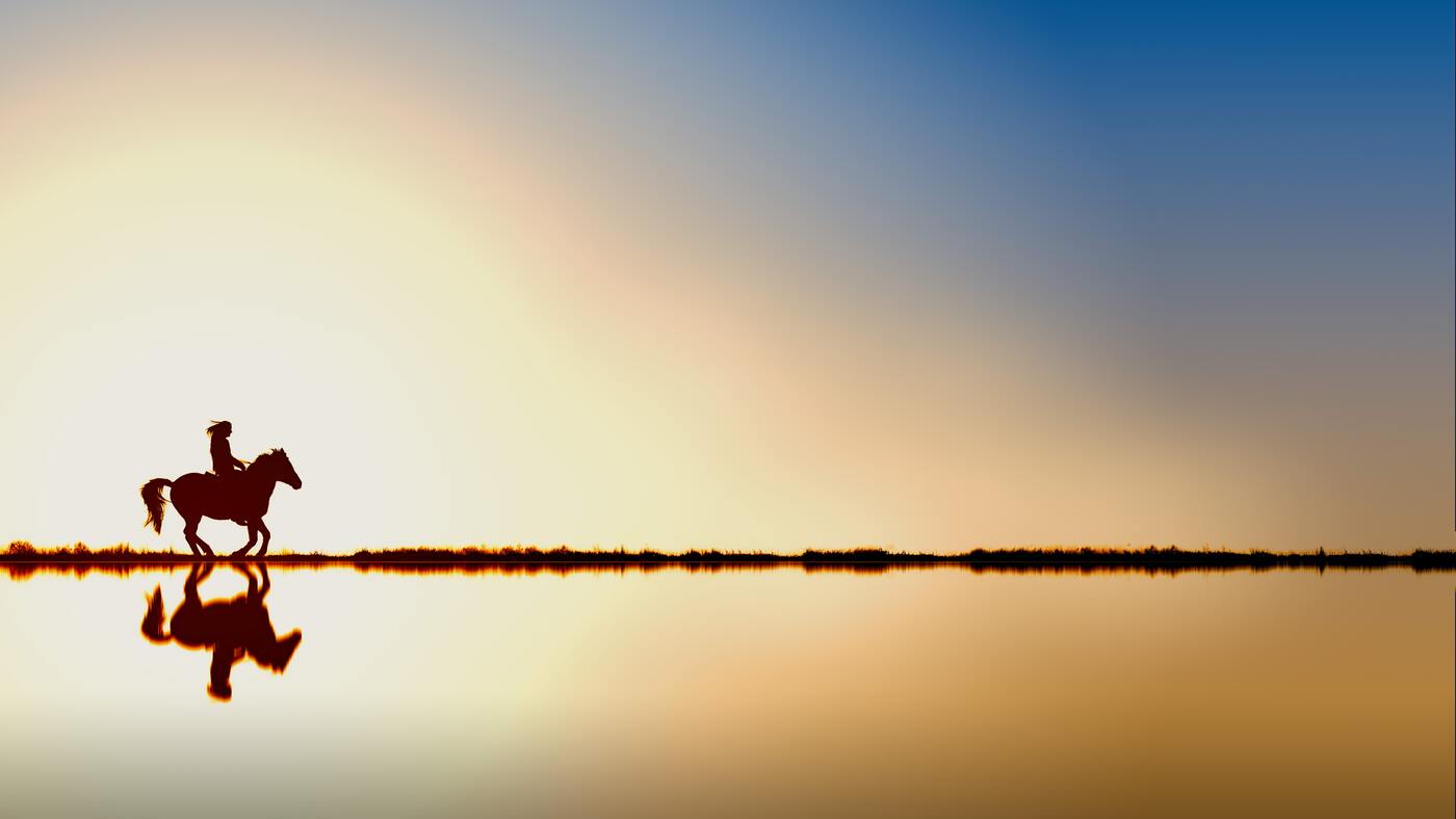 лошади, животные, коричневые, закат, вода, домашние животные