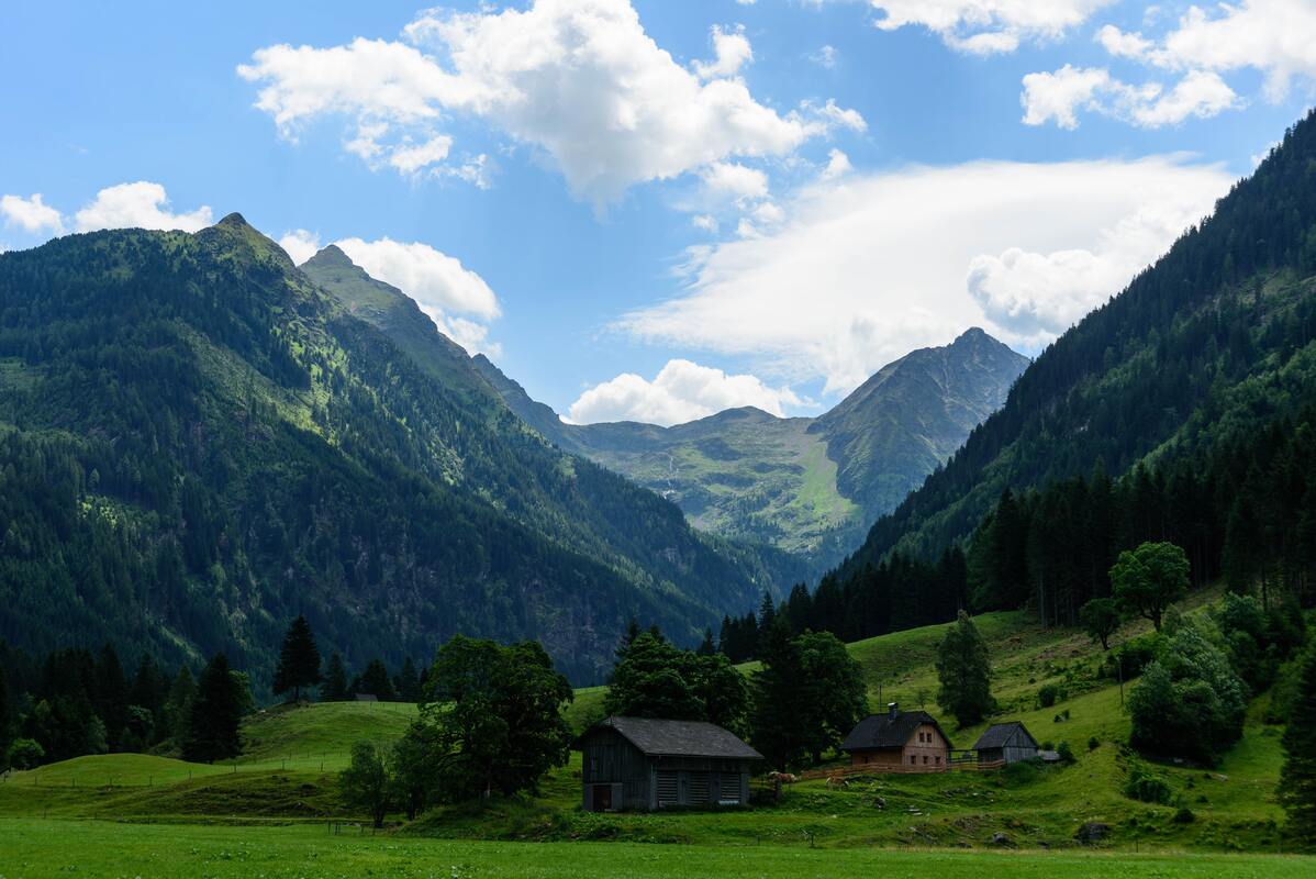 горы, Альпы, лес, ели, зеленые, луга, природа