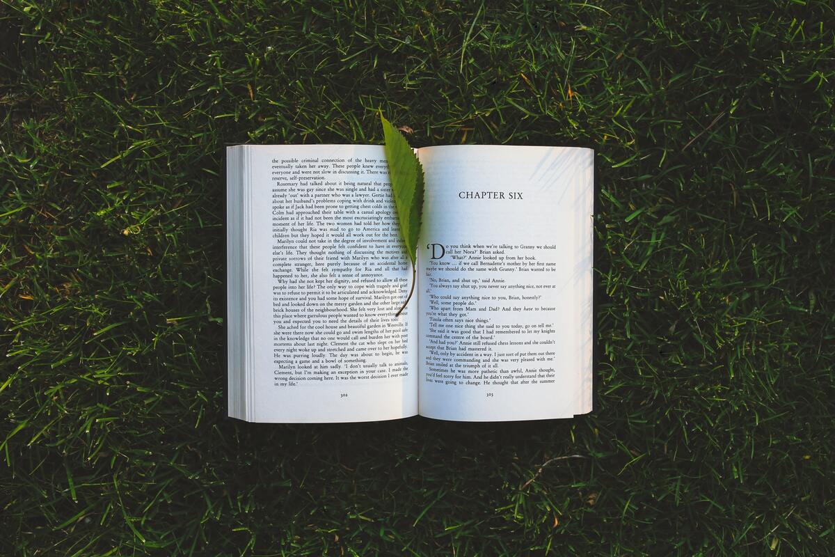 книга, страницы