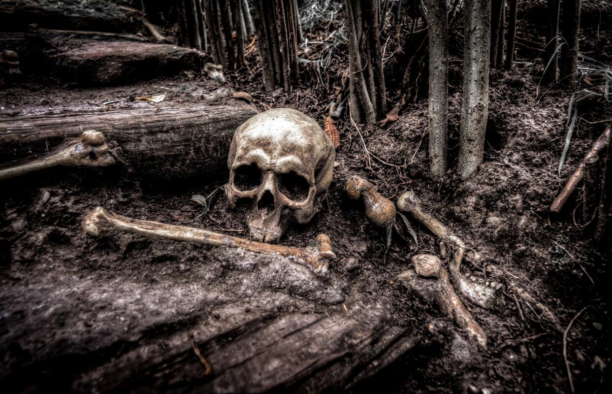 череп, черно белые, кость