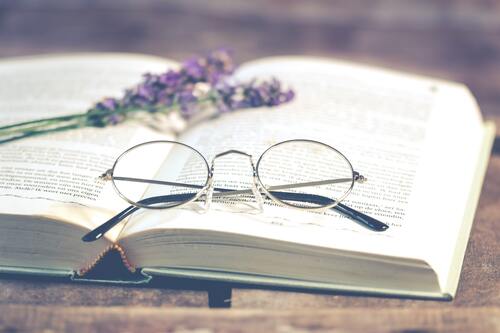 лаванда, 3д,3d, книга, очки