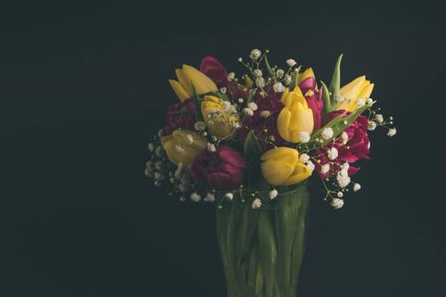 цветы, букет, ваза с цветами, тюльпаны