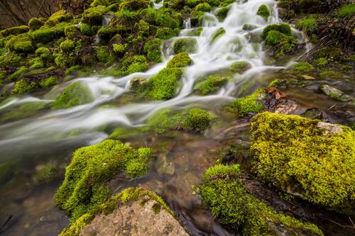 природа, мох, камни, вода, река, горная река