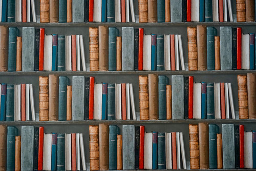 книги, книжные полки, библиотека