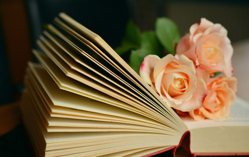 цветы, розы, книга